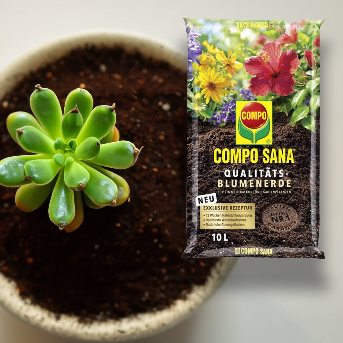 Compo Blumenerde » Compo Sana « 10 L, 12 Wochen Nährstoffversorgung