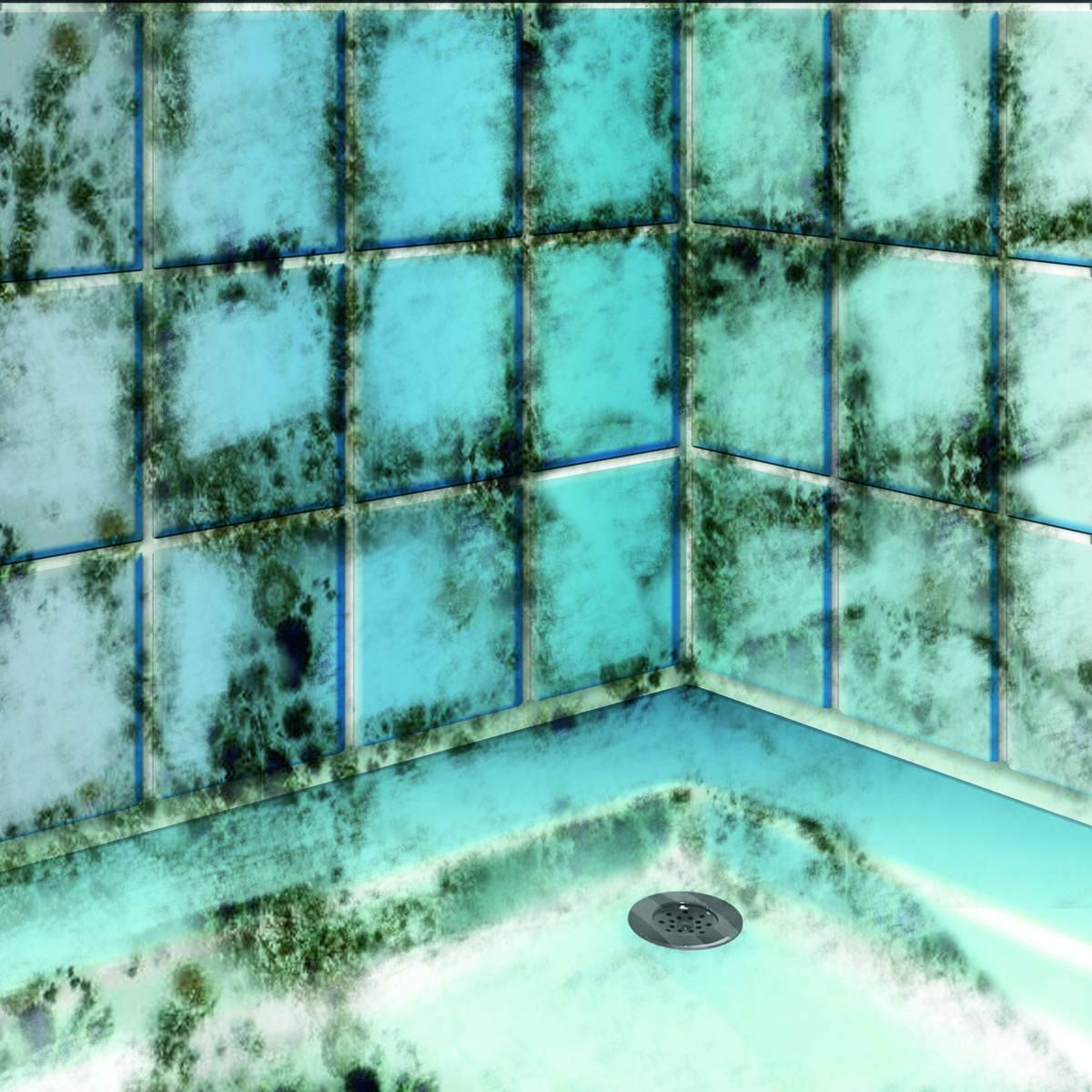 MEM » Schimmel-Vernichter « Reiniger, 500 ml