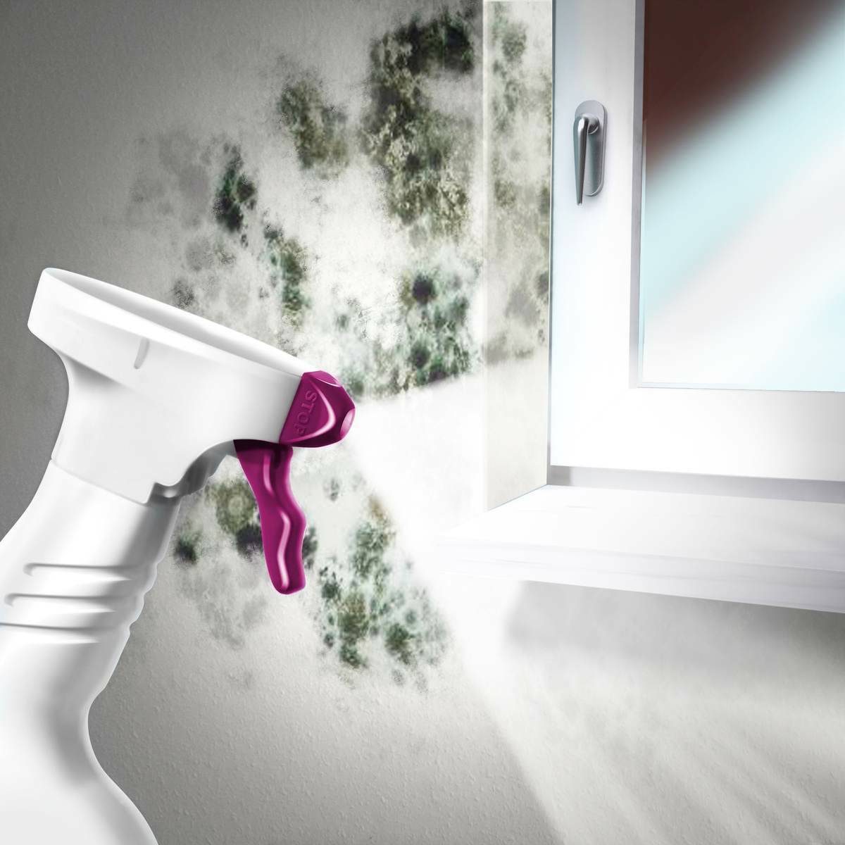 MEM » Schimmel-Entferner « Reiniger ohne Chlor, 500 ml