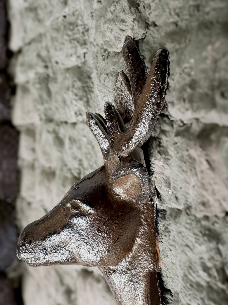 Home & Styling Collection Kleiderhaken » Hirschköpfe « 2er Set