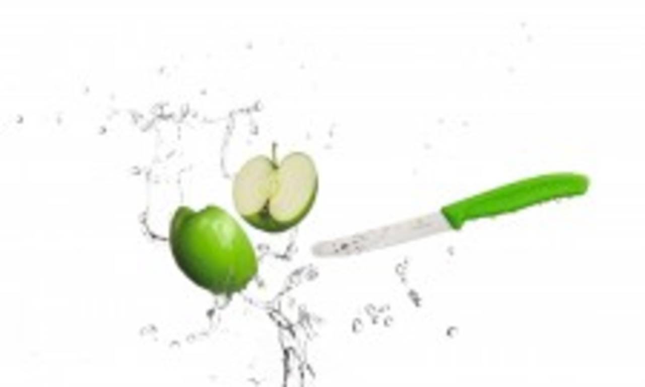 4 X VICTORINOX Tomatenmesser, Brötchenmesser, Küchenmesser grün Swiss Classic