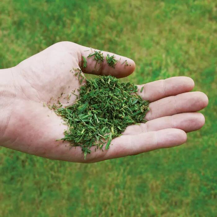 Einhell Akku-Rasenmäher » GE-CM 36/48 Li M-Solo « PurePOWER-Motor