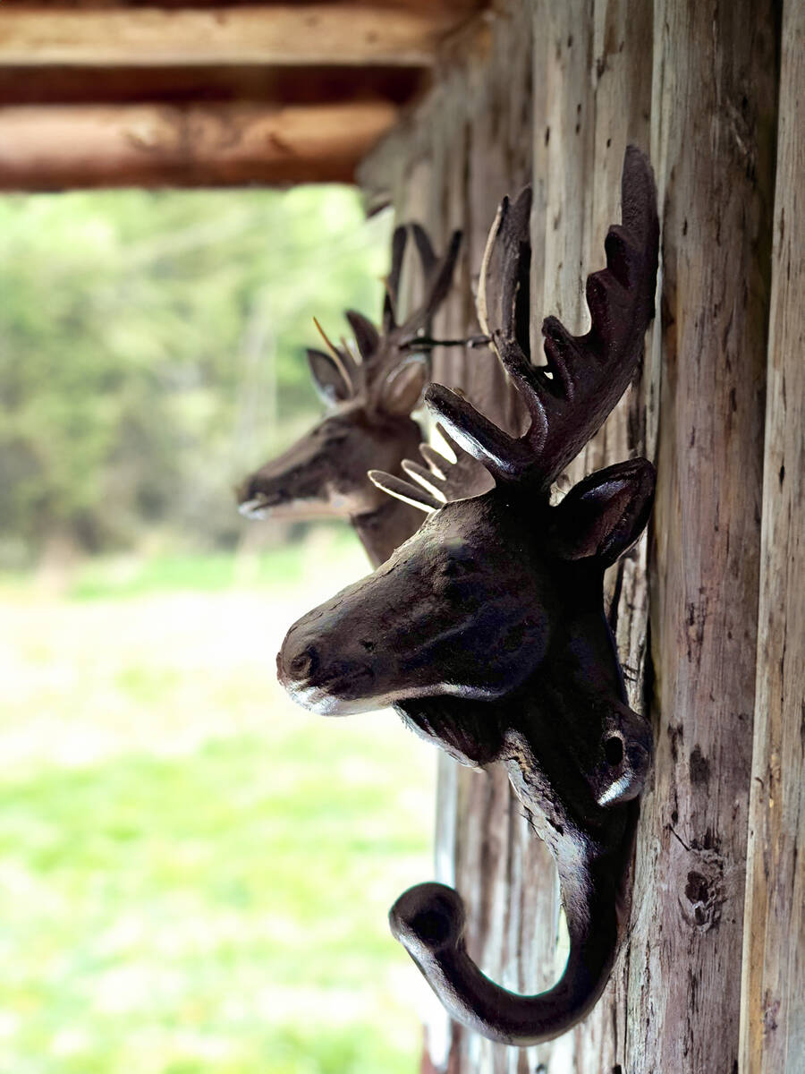 Home & Styling Collection Kleiderhaken » Hirschköpfe « 2er Set