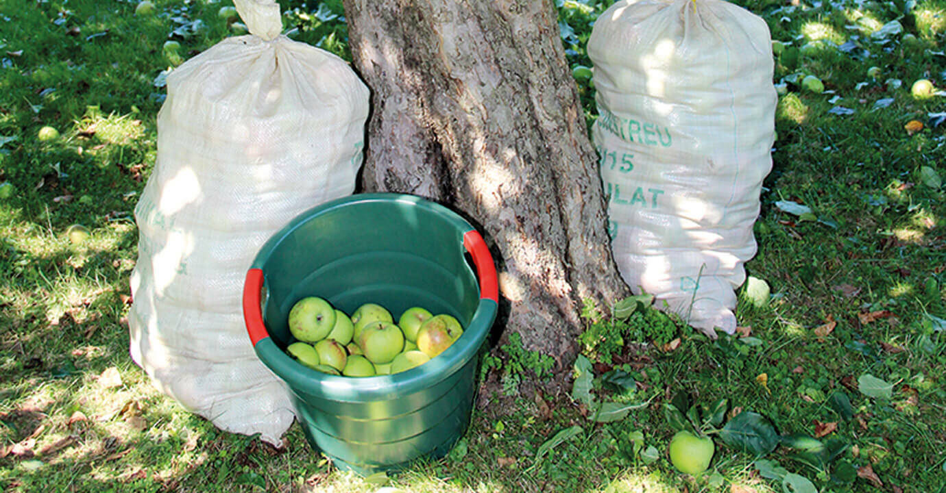 Graf Universal-Rundbehälter » Toni « rund, grün, 30 Liter, starkwandig