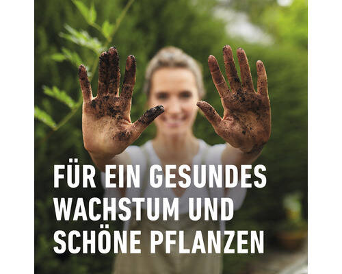 Compo Blumenerde » Compo Sana « 10 L, 12 Wochen Nährstoffversorgung