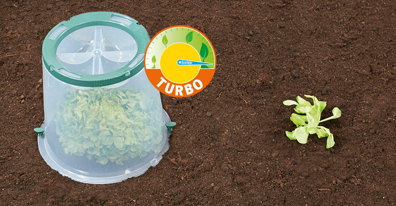 Garantia Pflanzglocke » Sunny « Schnelles Wachstum, frühe Ernte