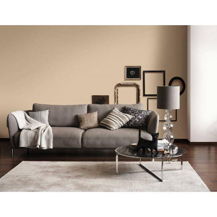 Schöner Wohnen Trendfarbe » Sand « matt, hochdeckend - 2,5 l