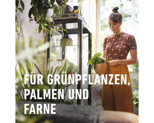 COMPO SANA » Grünpflanzen- und Palmenerde « 10 L, exklusive Rezeptur