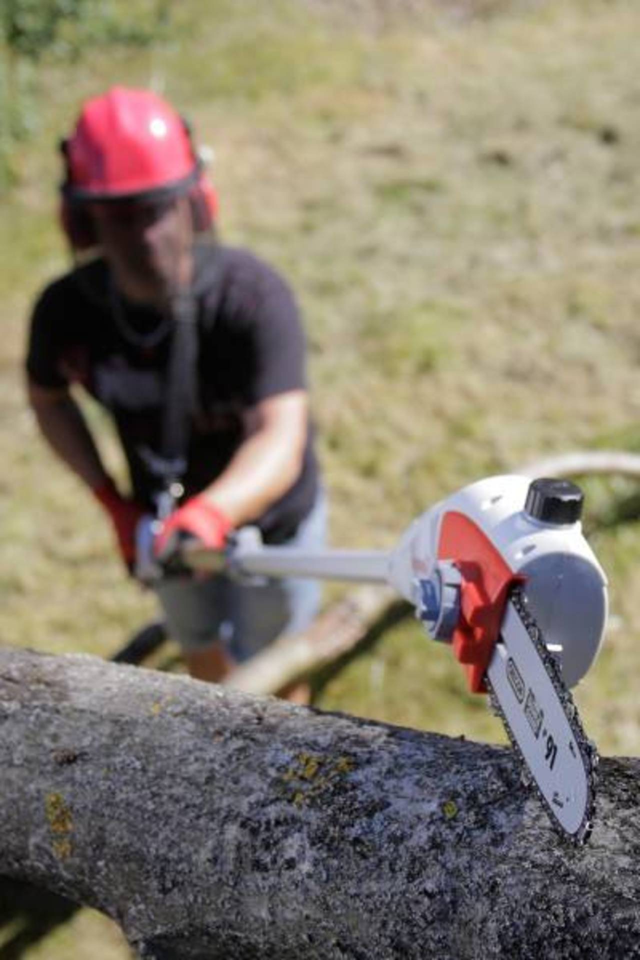 IKRA Elektro Hochentaster » IEAS 750 « OREGON Schwert & Kette