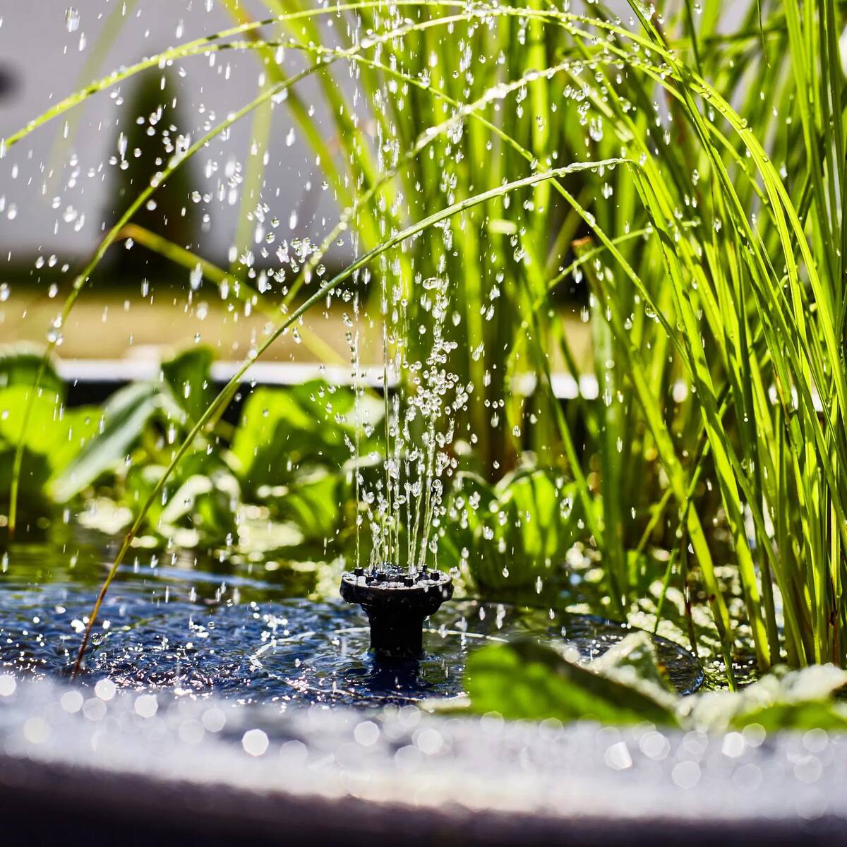 Heissner Wassergarten » Lotusgarden « Grau, inkl. Solarpumpe