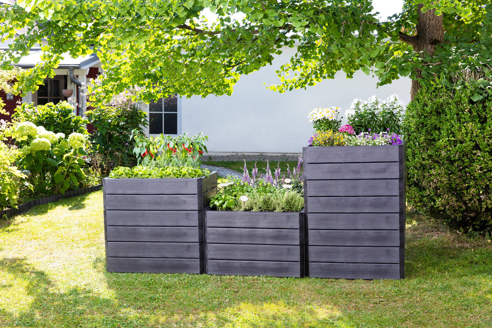 Garantia Hochbeet » Ergo Quadro L « flexibel erweiterbar