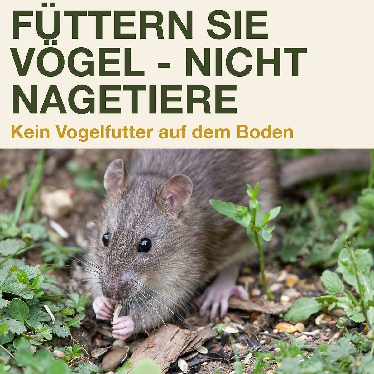 SWISSINNO Vogel-Futtersilo » SMART BIRDS « hellblau, Schutz vor Mäusen