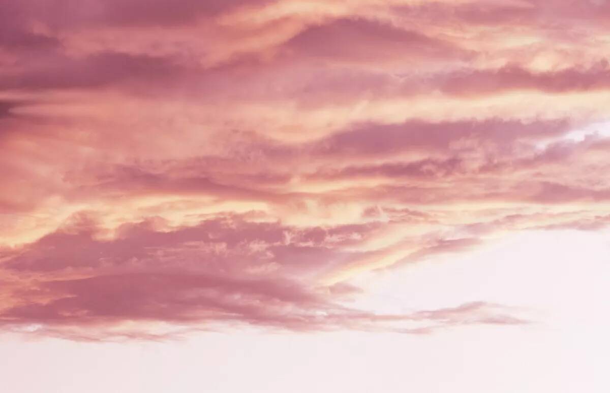 Alpina Feine Farben » Wolken in Rosé « 2,5 l, Graurosé, No. 23