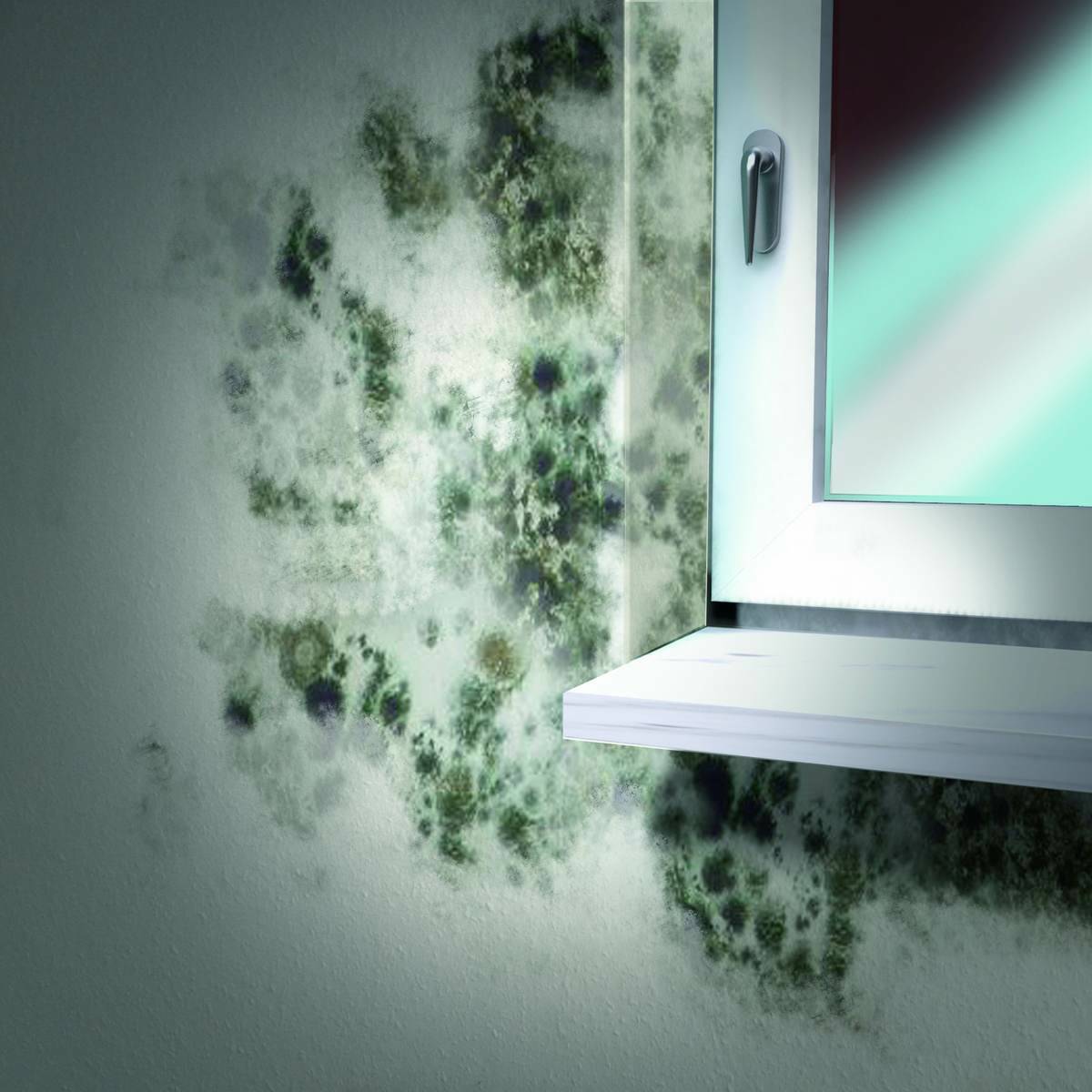 MEM » Schimmel-Entferner « Reiniger ohne Chlor, 500 ml