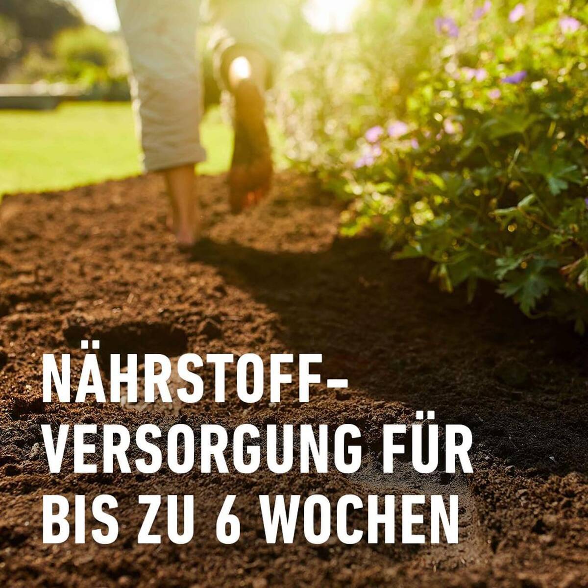 Compo Bio » Anzucht- und Kräutererde « torffrei & luftig, 20 Liter