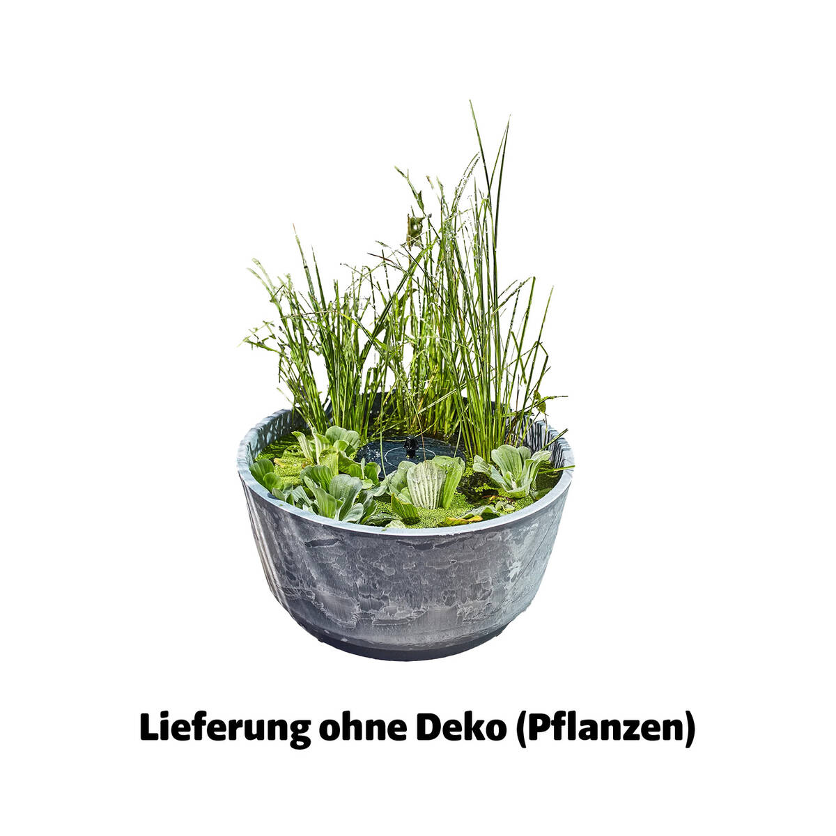 Heissner Solar Wassergarten » Aquatopia « Dekoteich, hellgrau