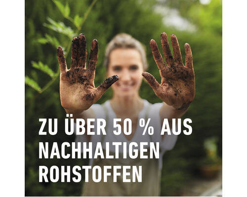 COMPO SANA » Grünpflanzen- und Palmenerde « 10 L, exklusive Rezeptur