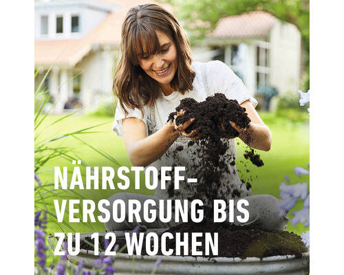 COMPO SANA » Grünpflanzen- und Palmenerde « 10 L, exklusive Rezeptur