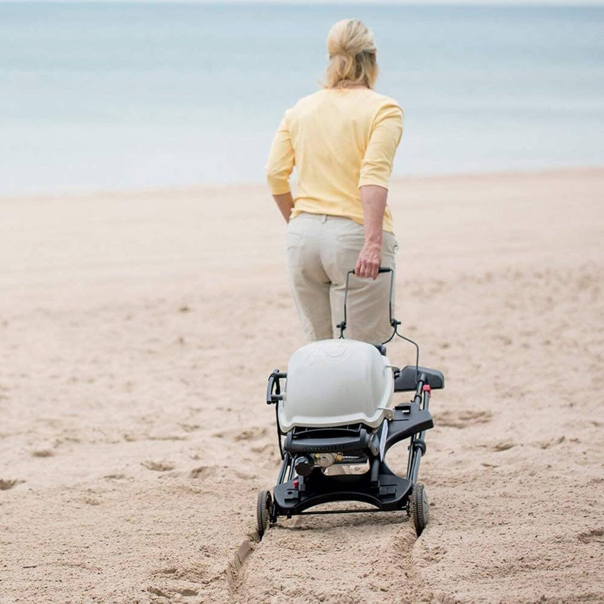 Weber Gasgrill » Q 2000 « inkl. Rollwagen Art. 6557, 3,52 kW