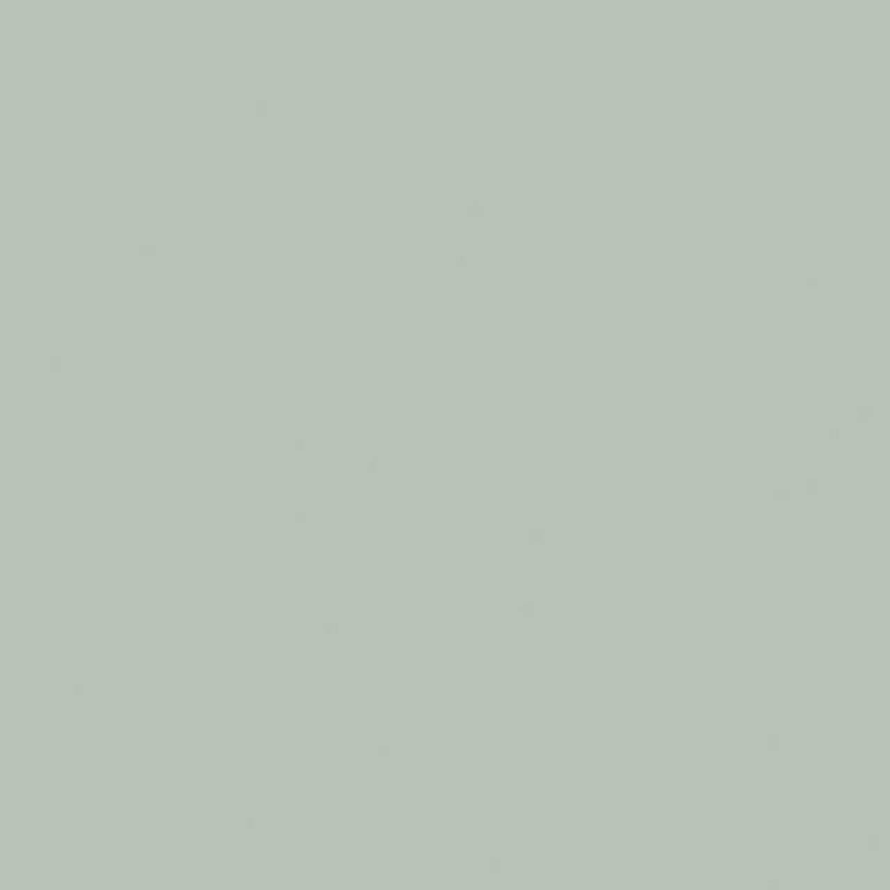 SCHÖNER WOHNEN designfarben » Harmonisches Jadegrün « matt - 2,5 l