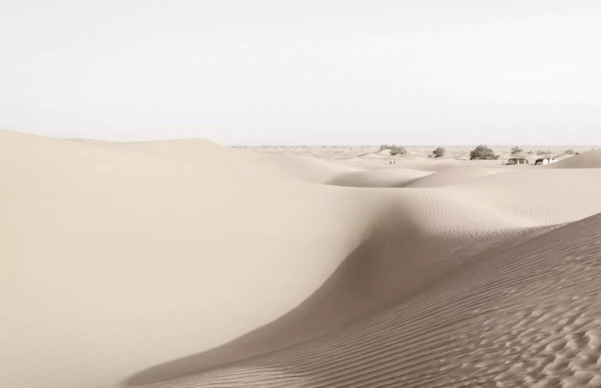 Alpina Feine Farben » Zauber der Wüste « 2,5 l, Sandbeige, No. 07