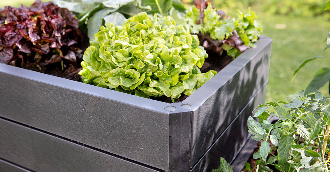 Garantia Hochbeet » Ergo Quadro L Stone « Stecksystem-Modul