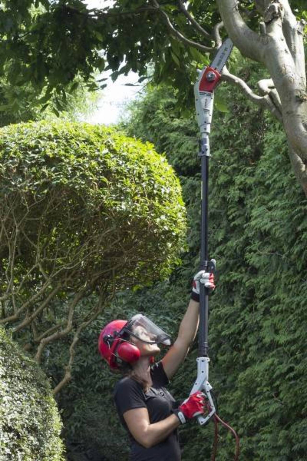 IKRA Elektro Hochentaster » IEAS 750 « OREGON Schwert & Kette