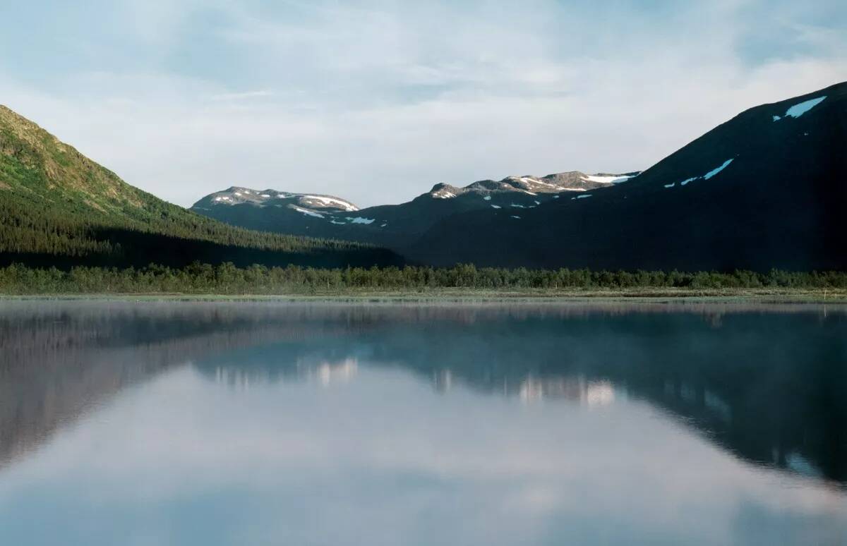 Alpina Feine Farben » Ruhe des Nordens « 2,5 l, Graublau, No. 14