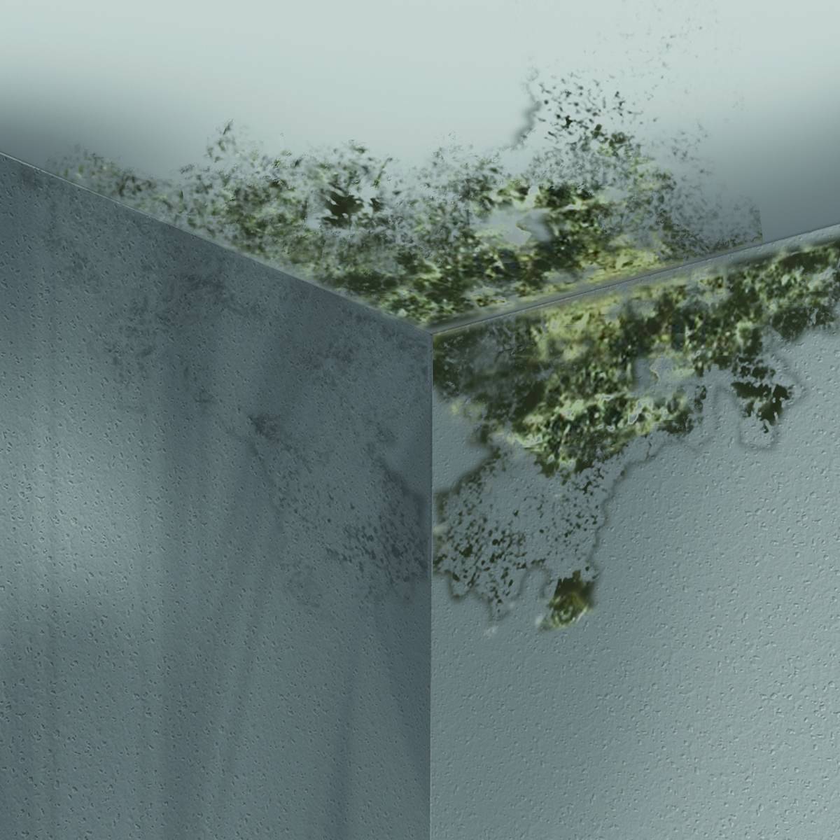 MEM » Schimmel-Entferner « Reiniger ohne Chlor, 500 ml