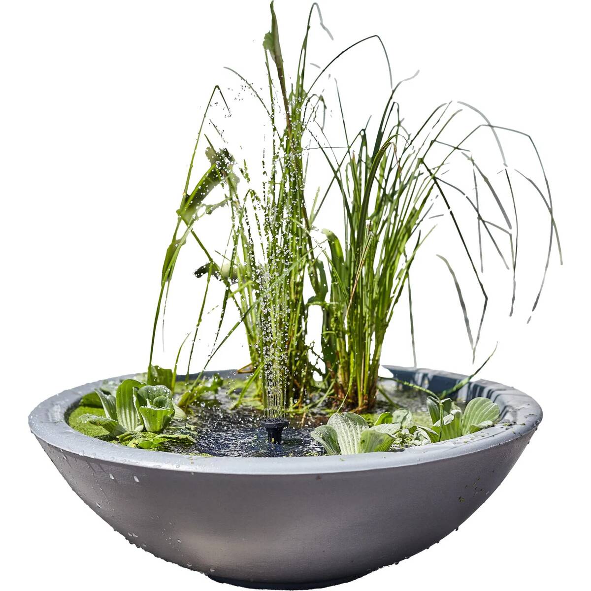 Heissner Wassergarten » Lotusgarden « Grau, inkl. Solarpumpe