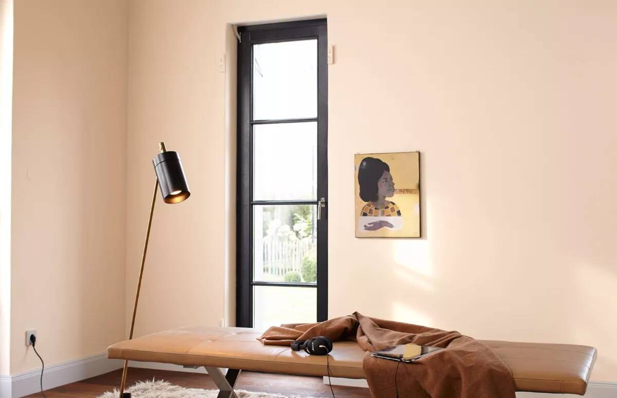 Alpina Feine Farben » Vers in Pastell « 2,5 l, Apricot, No. 28